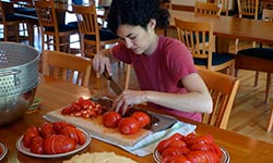 Woman chopping tomatoes