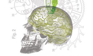 Graphic of skull, brain, machine cogs, footprints