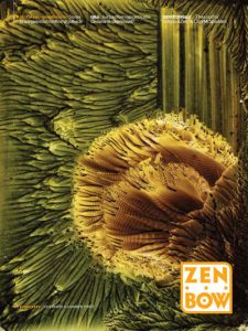 Cover of Fall 2020 issue of Zen Bow