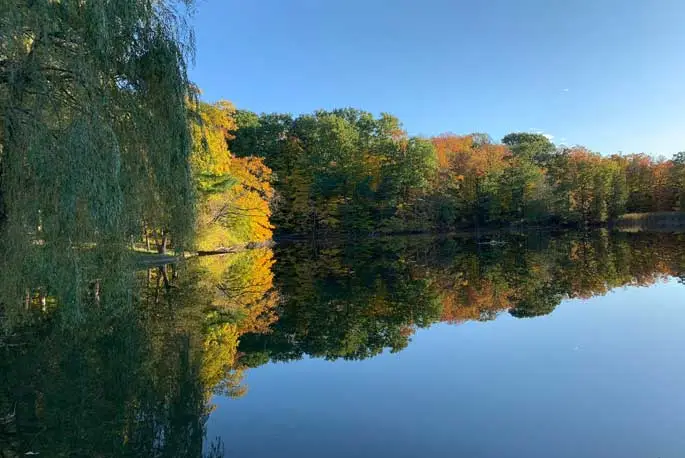 A photo of the Chapin Mill pond